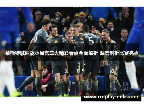 莱斯特城迎战水晶宫三大精彩看点全面解析 深度剖析比赛亮点 莱斯特城迎战水晶宫三大精彩看点全面解析 深度剖析比赛亮点